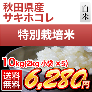 秋田県産 サキホコレ10kg