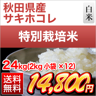 秋田県産 サキホコレ24kg