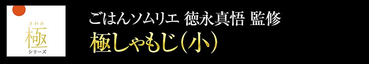 極しゃもじ　小サイズ