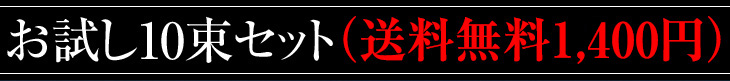 お試し10束セット(送料無料)