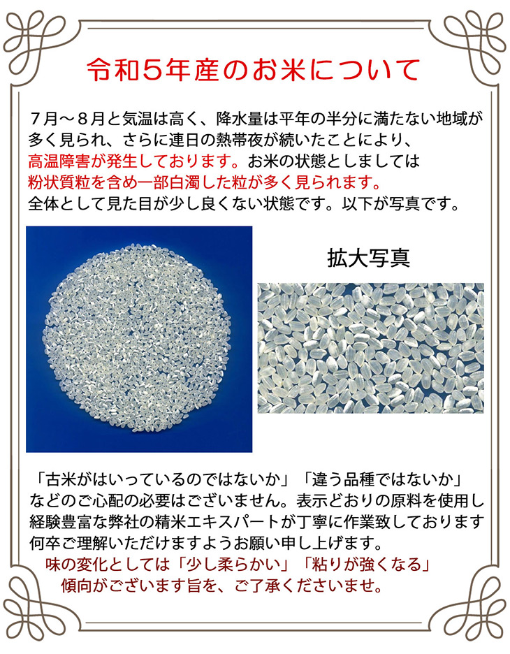 夢ごこち 石川県産 10kg(2kg×5袋) (白米・玄米) 【送料無料