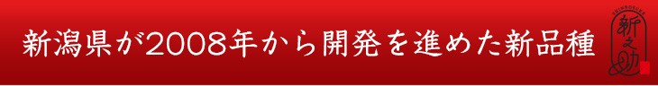 新潟県が2008年から開発を進めた新品種