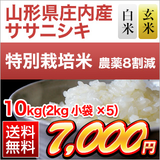 山形県庄内産 ササニシキ 10kg