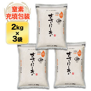 ななつぼし 北海道産 【白米・玄米】＜特A評価連続16回獲得の快挙