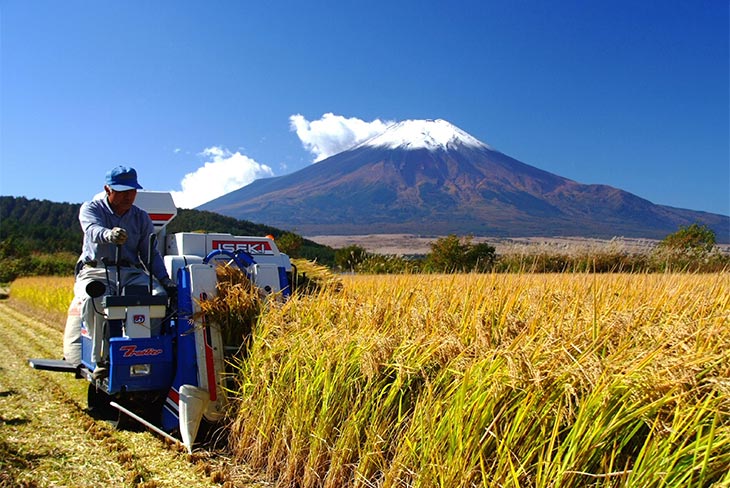 富士山