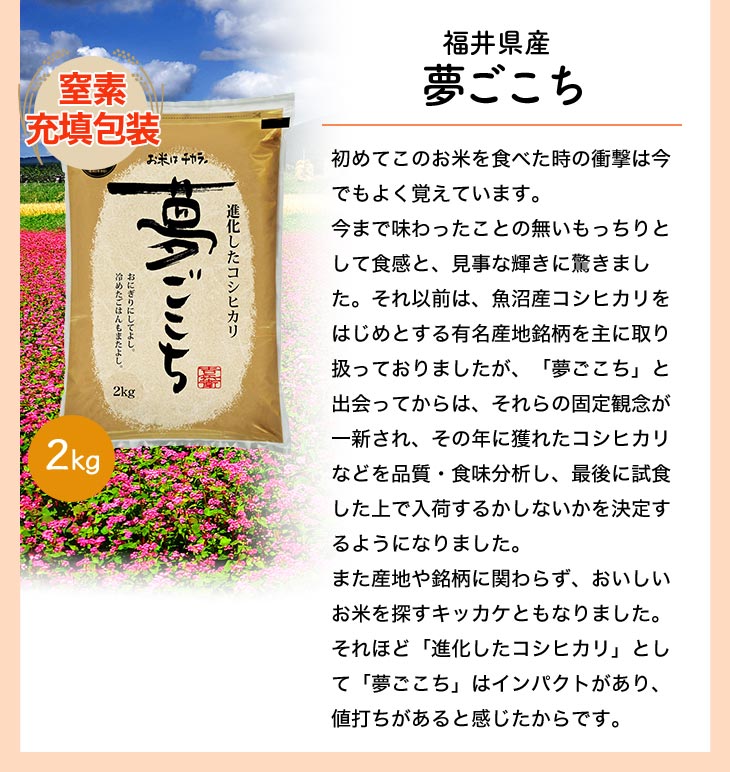 夢ごこち