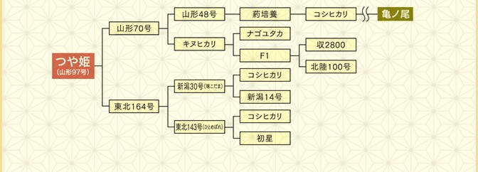 さなえさん専用☆新米つや姫の+spbgp44.ru