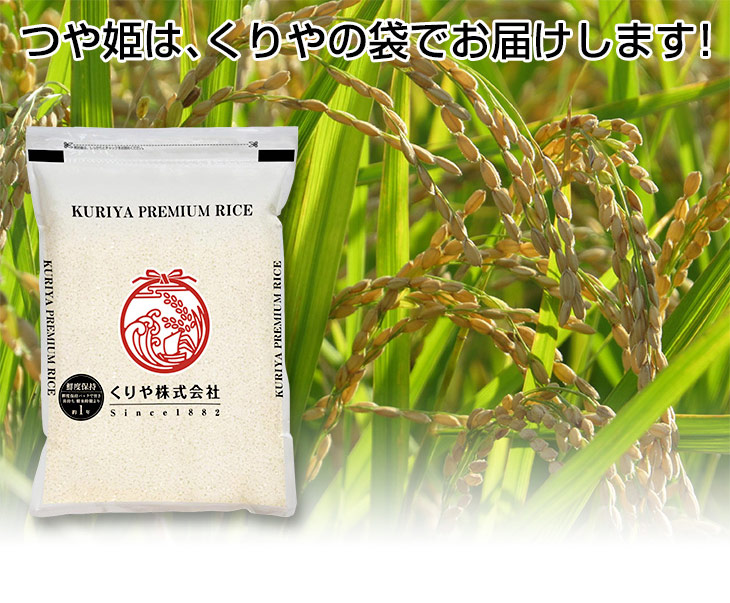 つや姫 お米 10kg 白米 送料無料 令和7年産 2025年産 島根産 (2kg×5袋