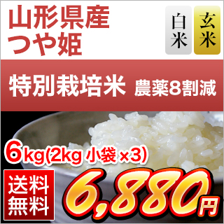 つや姫 山形県産 つや姫＜15年連続特A評価＞ 6kg (2kg×3袋