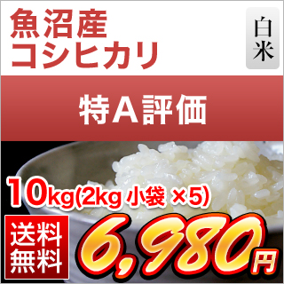 新潟県魚沼産 コシヒカリ 10kg