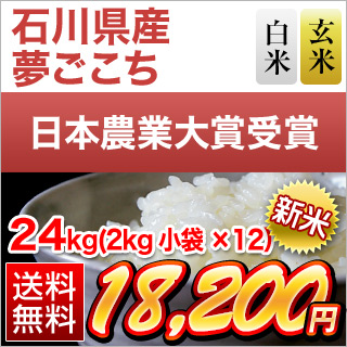 新米 石川県産 夢ごこち 24kg (2kg×12袋) (白米・玄米)【送料無料  