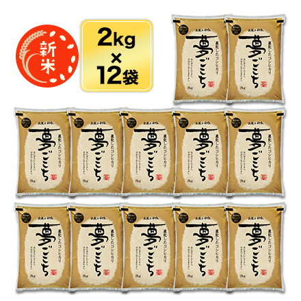 新米 石川県産 夢ごこち〈特別栽培米〉 白米・玄米 24kg(2kg×12袋) 送料無料【即日出荷は白米のみ】【生産者指定米】【米袋は窒素充填包装】令和8年(2026年)産