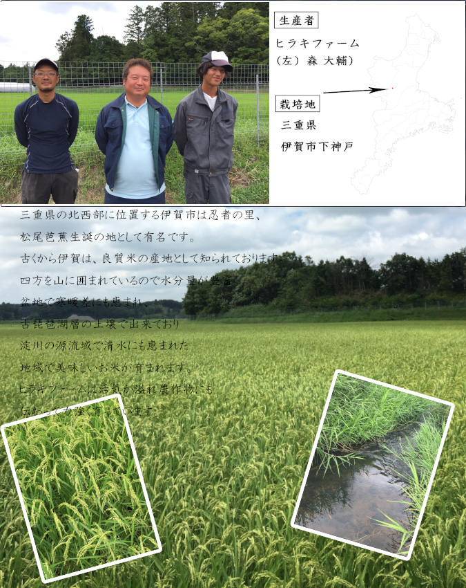 ミルキークイーン 米 30kg 玄米 三重県伊賀産 ヒラキファーム 令和7