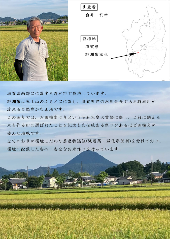新米 玄米 20kg 滋賀県野洲産 みずかがみ 白井利幸 令和7年産