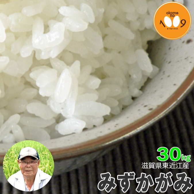新米 玄米 30kg 滋賀県東近江産 みずかがみ 諏訪一男 令和7年産 新米 玄米 30kg 滋賀県東近江産 みずかがみ 諏訪一男 令和7年産