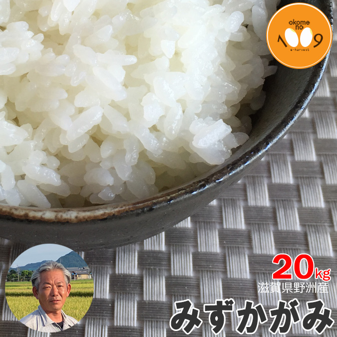 2024年 新米 みずかがみ20kg玄米