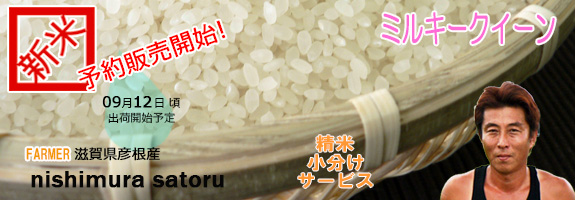 お米、精米済み、９０㎏ 定期便】ひかり精米 白米 24kg(8kg×3) 国内産100% 生活応援米