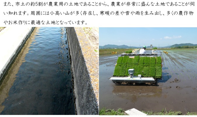 新米 玄米 20kg 滋賀県近江八幡産 内野営農組合 2銘柄食べ比べセット コシヒカリ キヌヒカリ 令和4年産 環境こだわり農作物  :tabe-u4:お米のせんきゅう - 通販 - Yahoo!ショッピング
