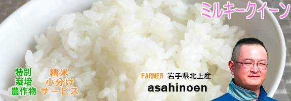 ハイセラクィーン　お米 ミルキークイーン 令和6年産 千葉県産 5kg 白米 精米 米 お米