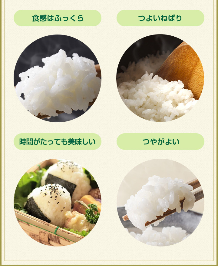 夢しずく 【6年産】米 お米 10kg 送料無料☆夢しずく 無洗米 夢しずく 【6年産】米 お米 10kg 送料無料☆夢しずく 無洗米