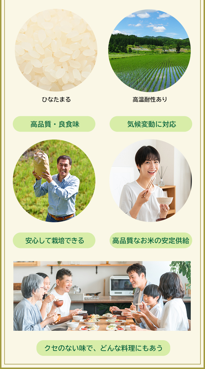 お米 2kg 送料無料 ひなたまる 佐賀県産 令和7年度 : お米のひぜん屋