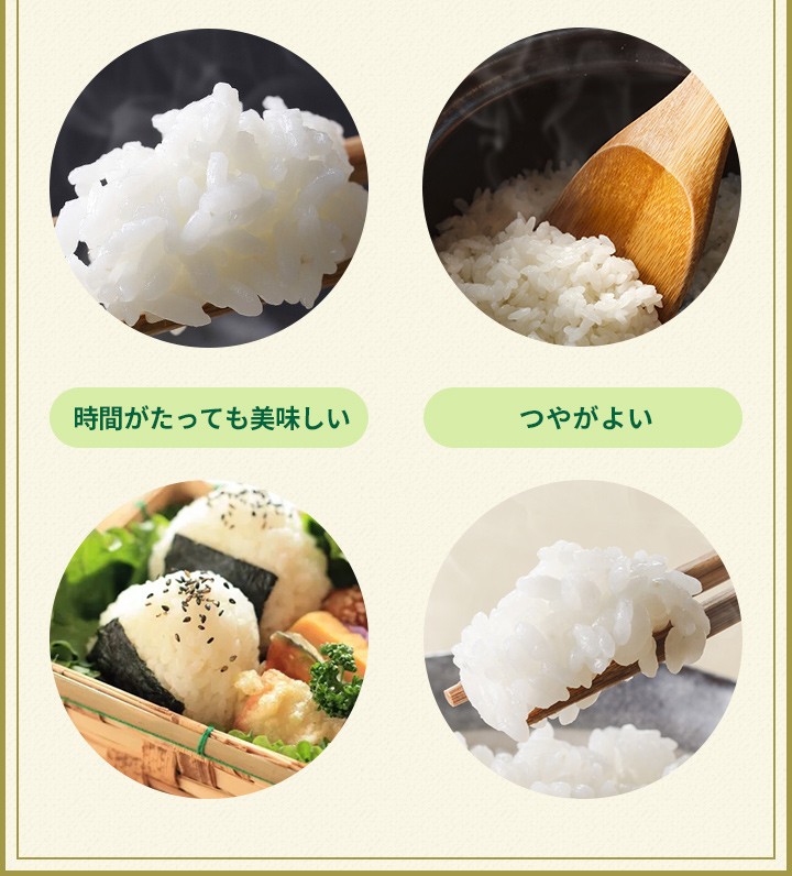 ヒノヒカリ 6年産 佐賀県【ヒノヒカリ】白米2kg【送料無料】ひの ヒノヒカリ 6年産 佐賀県【ヒノヒカリ】白米2kg【送料無料】ひの