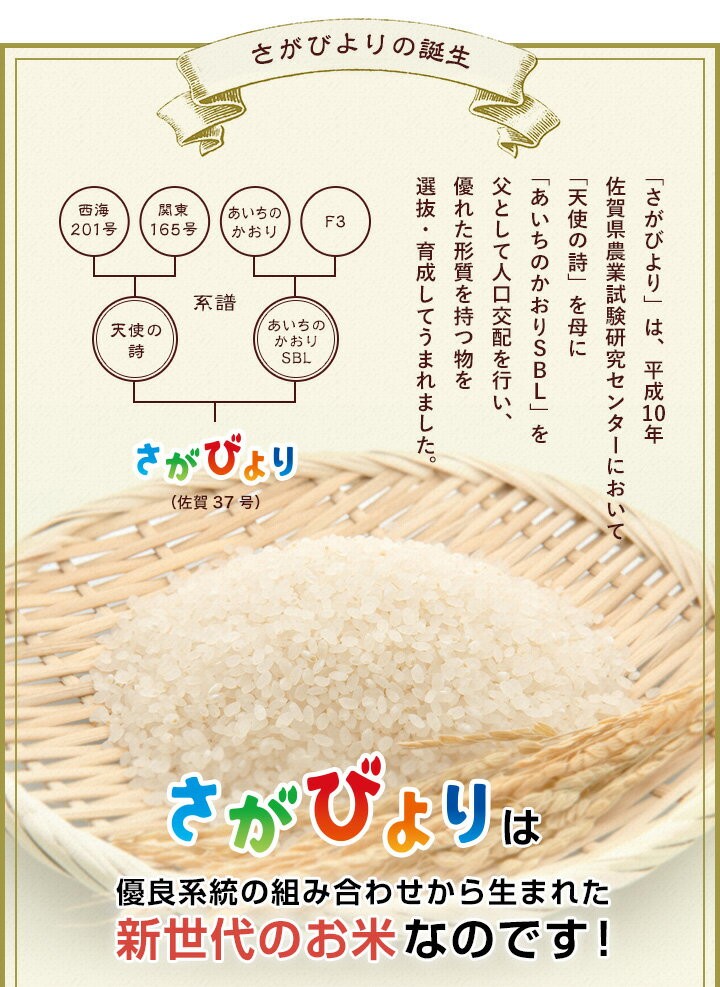米 お米 10kg 送料無料 さがびより 佐賀県産 令和3年度 5kg×2袋 :sagabiyori-001:お米のひぜん屋 - 通販 -  Yahoo!ショッピング