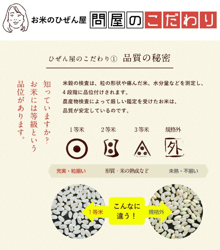 お米 10kg さがびより 佐賀県産 令和5年産 5kg×2袋 : sagabiyori-001