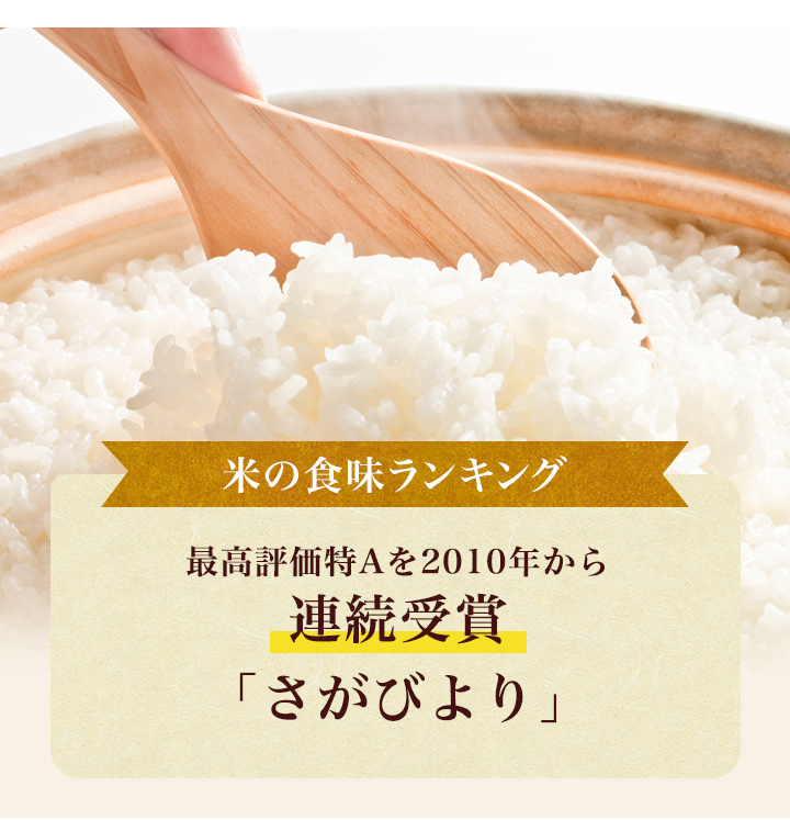 5年産 佐賀県産 橘 さがびより 20kg ( 5kg×4袋 ) 米 送料無料 武雄市