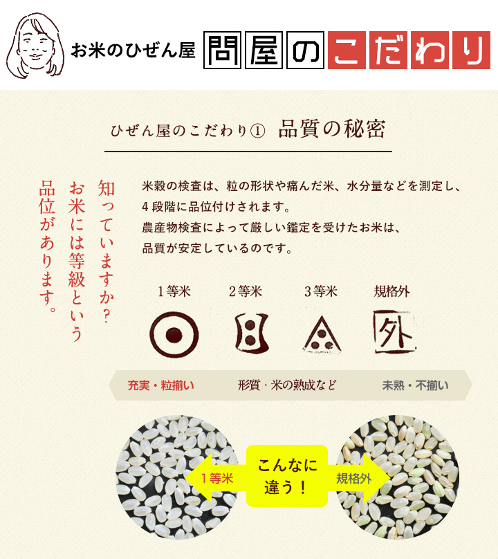 5年産 佐賀県産 橘 さがびより 20kg ( 5kg×4袋 ) 米 送料無料 武雄市