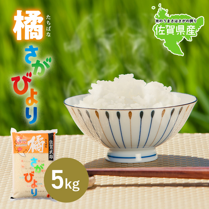 さがびより 6年産 佐賀県産 橘 5kg 米 送料無料 武雄市 産地限定