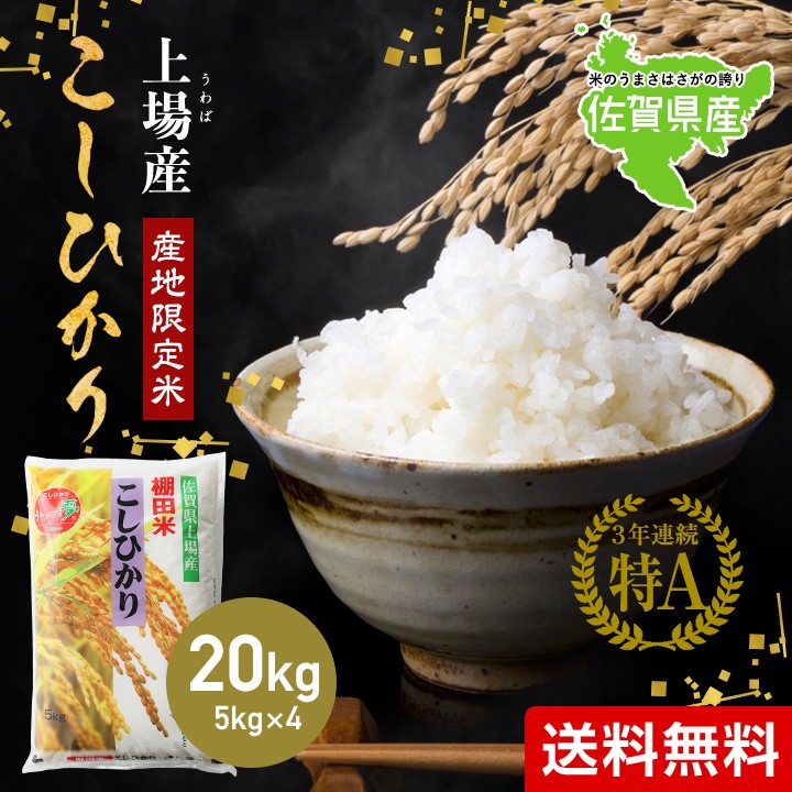 新米 令和5年産 米 お米 20kg 送料無料 上場コシヒカリ 佐賀県産 令和