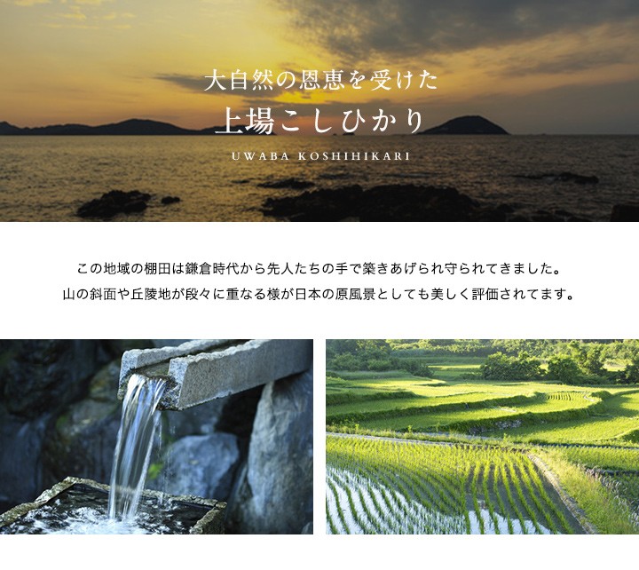 コシヒカリ 【新米】令和7年産 米 お米 2kg 送料無料 上場コシヒカリ