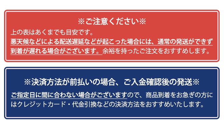 コシヒカリ 令和6年産 米 お米 5kg 送料無料 上場コシヒカリ コシヒカリ 令和6年産 米 お米 5kg 送料無料 上場コシヒカリ