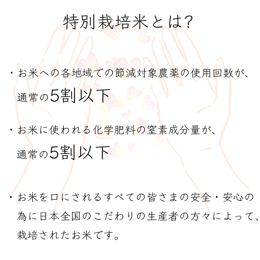 夢ごこち 新米 米 30kg お米 玄米（5kg×真空パック6袋）減農薬 特別