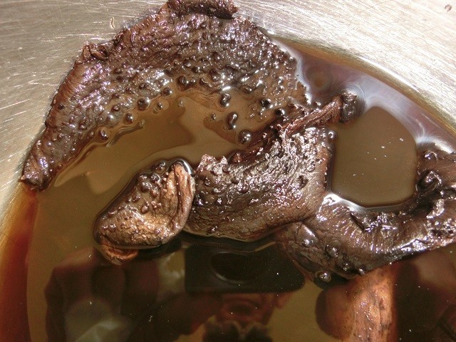 国産天然きのこ キノコ 乾燥 香茸 獅子茸 いのはな 30g ギフト対応 kkk30g 天然きのこ 山菜の奥会津旬彩館 通販 Yahoo ショッピング