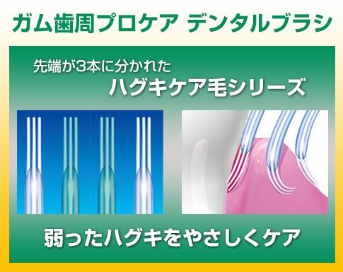 サンプル