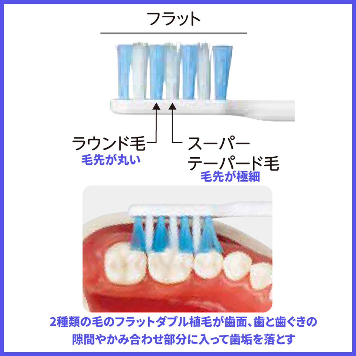 ライオン チェックアップ歯ブラシ standardタイプ 6本 2色以上のアソート LION checkup｜okuchi｜03
