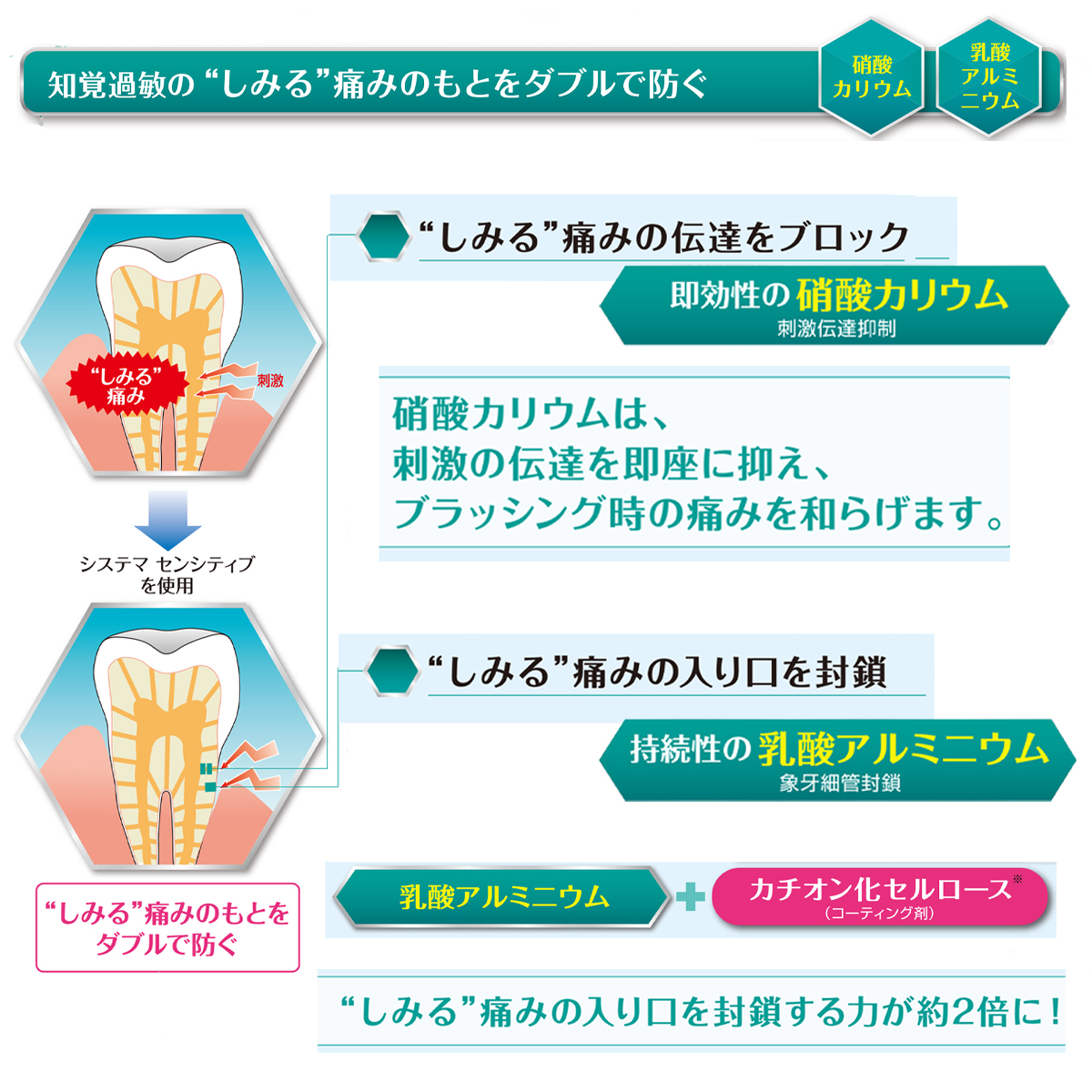 システマ ライオン システマセンシティブ soft paste 85g 1本