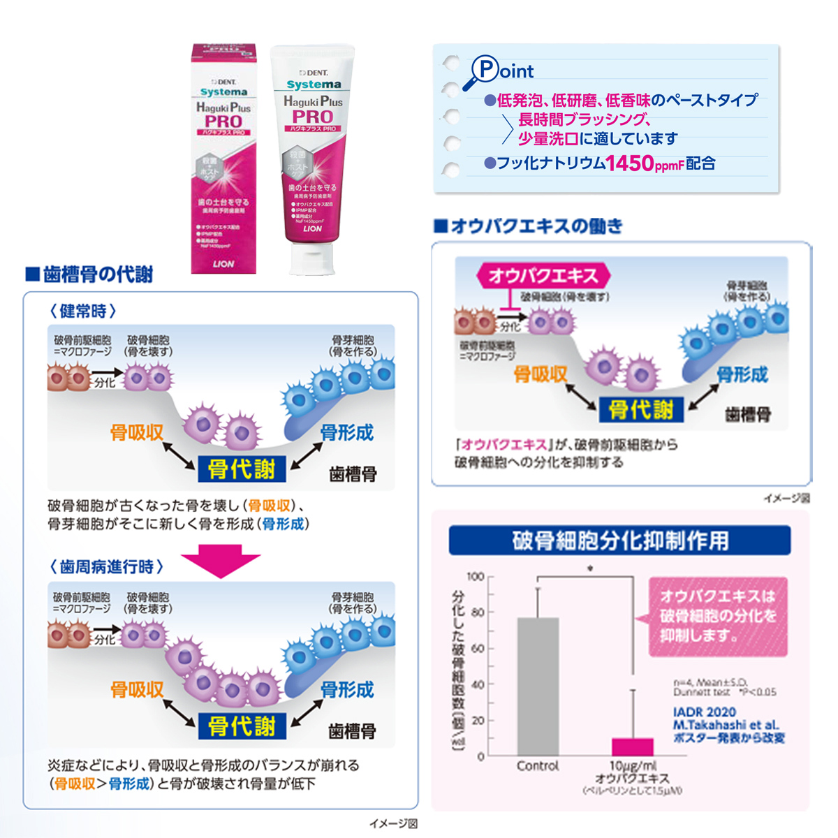 お気に入りの システマ 25本 ハグキプラスPRO ライオン 口臭防止