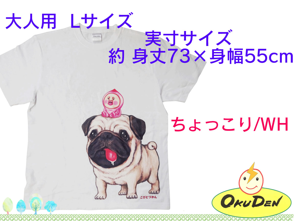 こびとづかん　Ｔシャツ　大人用　子ども用110サイズ　子ども用130サイズ　ちょっこり　ガルシア　グッズ｜okuden｜02