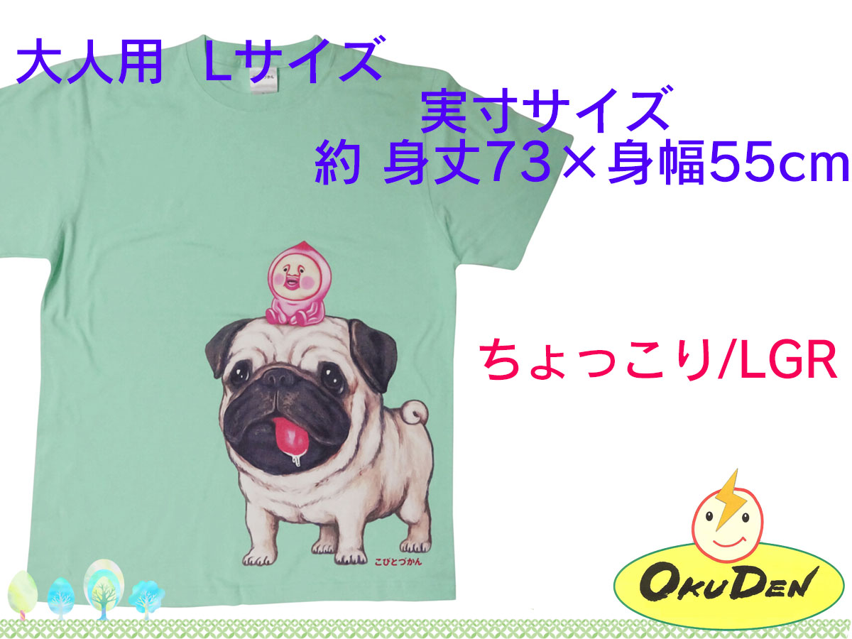 こびとづかん　Ｔシャツ　大人用　子ども用110サイズ　子ども用130サイズ　ちょっこり　ガルシア　グッズ｜okuden｜03