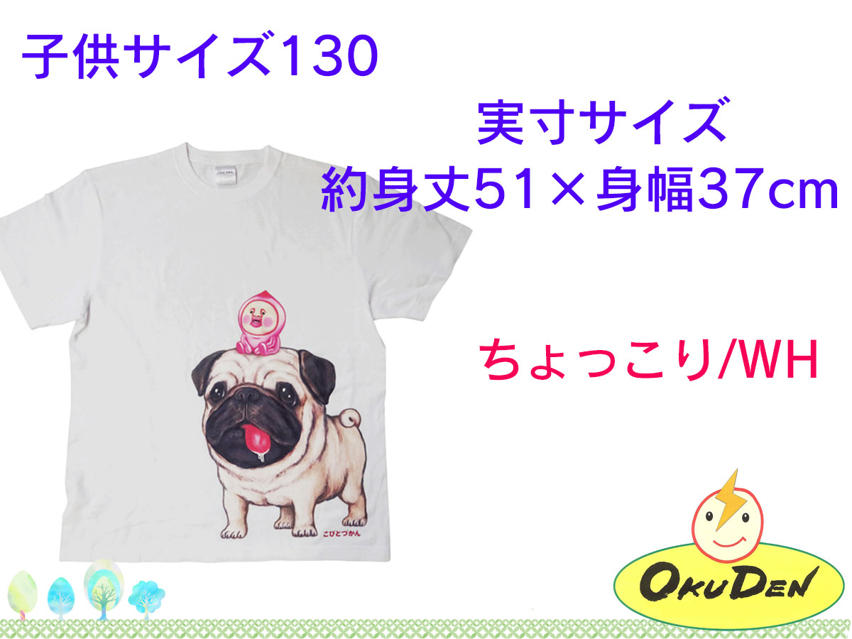 こびとづかん　Ｔシャツ　大人用　子ども用110サイズ　子ども用130サイズ　ちょっこり　ガルシア　グッズ｜okuden｜05