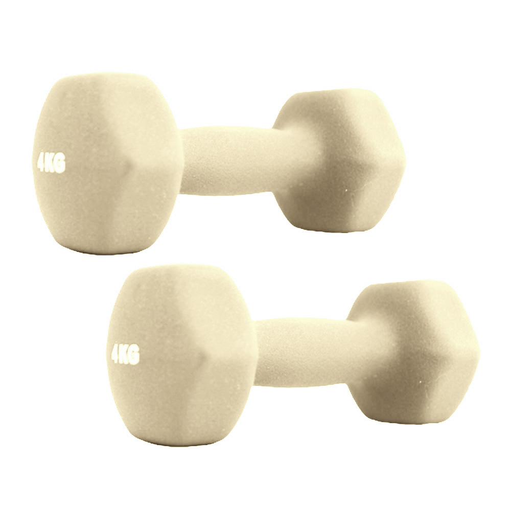 【新品】鉄アレー ダンベル 〔4kg×4本〕防滑 防傷 転がりにくい仕様 〔スポーツ用品 運動用品〕 楽天市場】ダンベル 3kg 筋トレ トレーニング 六角 鉄アレイ