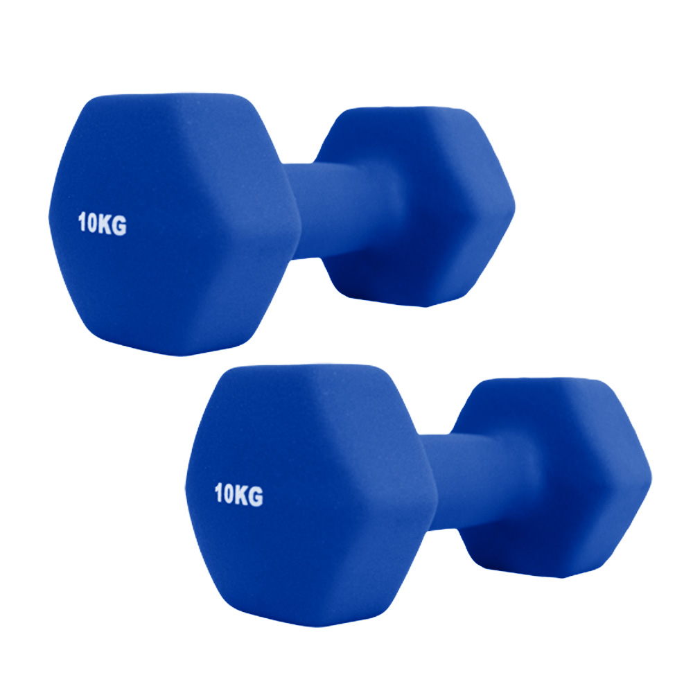 TOP FILM ダンベル 鉄アレイ 10kg 2個セット 20kg ヘックス