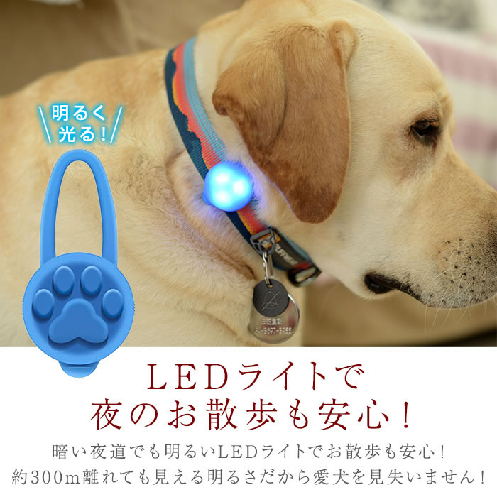 お得クーポン発行中 セーフティ ライト クリア ペット LED 散歩 犬 首輪 安全 リード