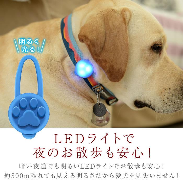 犬 首輪 ライト キーホルダー オレンジ LED セーフティライト 安全 散歩