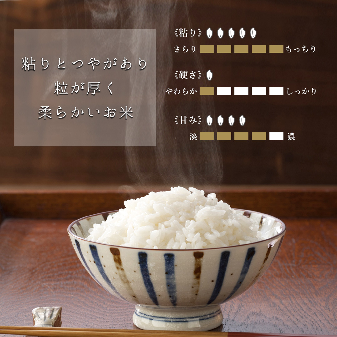 おくさま印 お米 10kg ゆめぴりか 北海道産 令和7年産 【送料無料