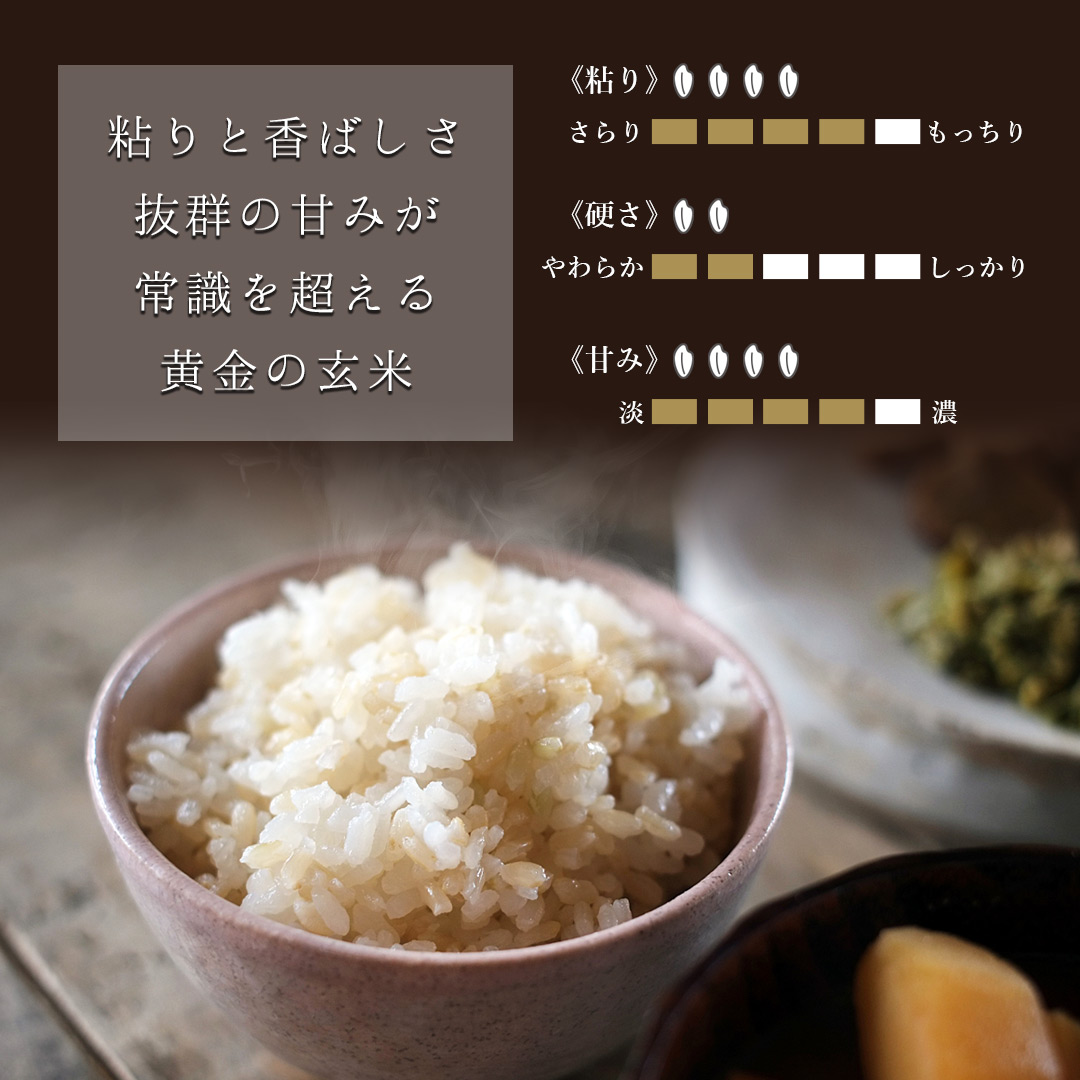 金のいぶき　新米　玄米25キロ 量り売り】玄米専用米 特別栽培米宮城県産 金のいぶき - お米の