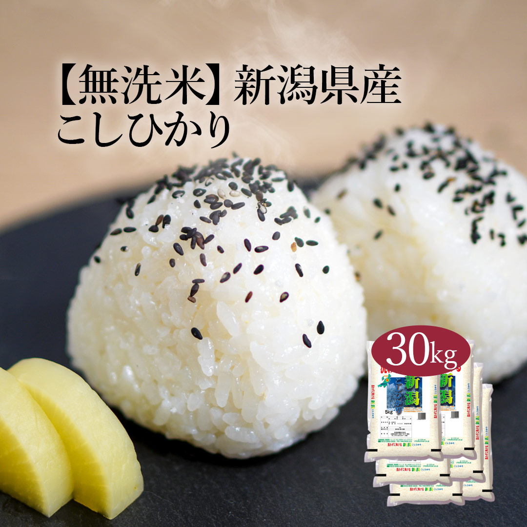 福井県産コシヒカリ R6年産 30kg 玄米【Aランク取得米】